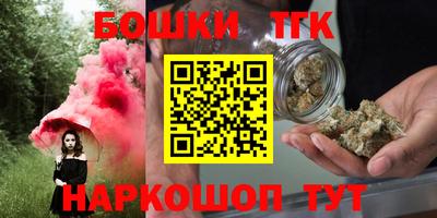 индика Ярославль