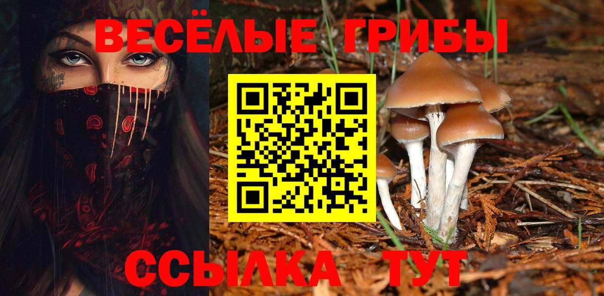Саранск  Кокаин  Купить наркотик  Конопля  Меф кристаллы  Вход с VPN  ГАШ  ЭКСТАЗИ 