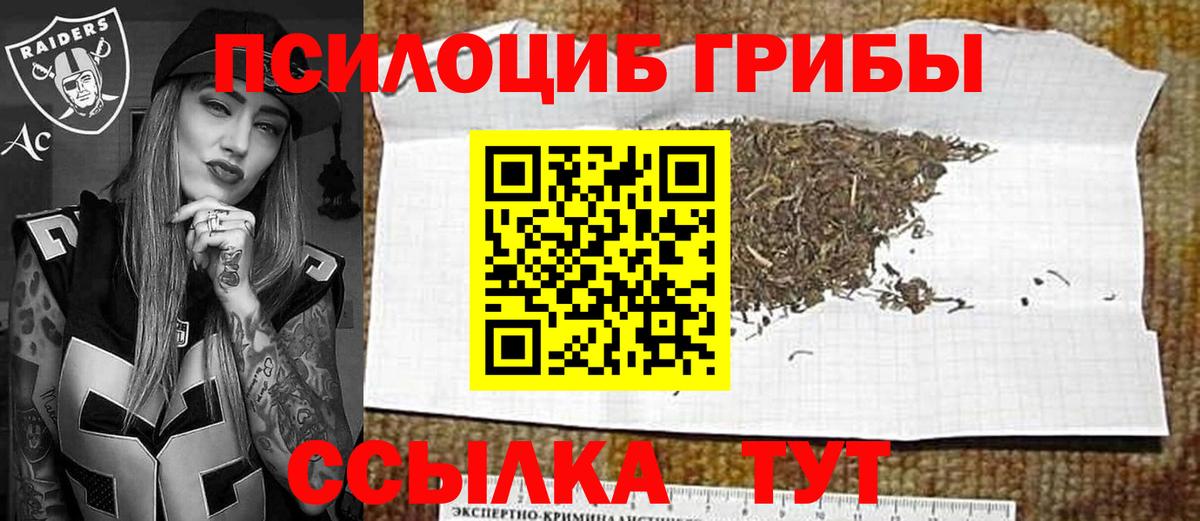 Псилоцибиновые грибы GOLDEN TEACHER Саранск